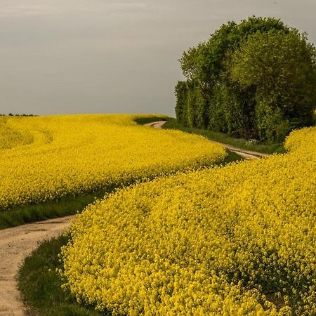 Eco Gite Argonne, Gite Insolite Lisle-en-Barrois Ngoại thất bức ảnh