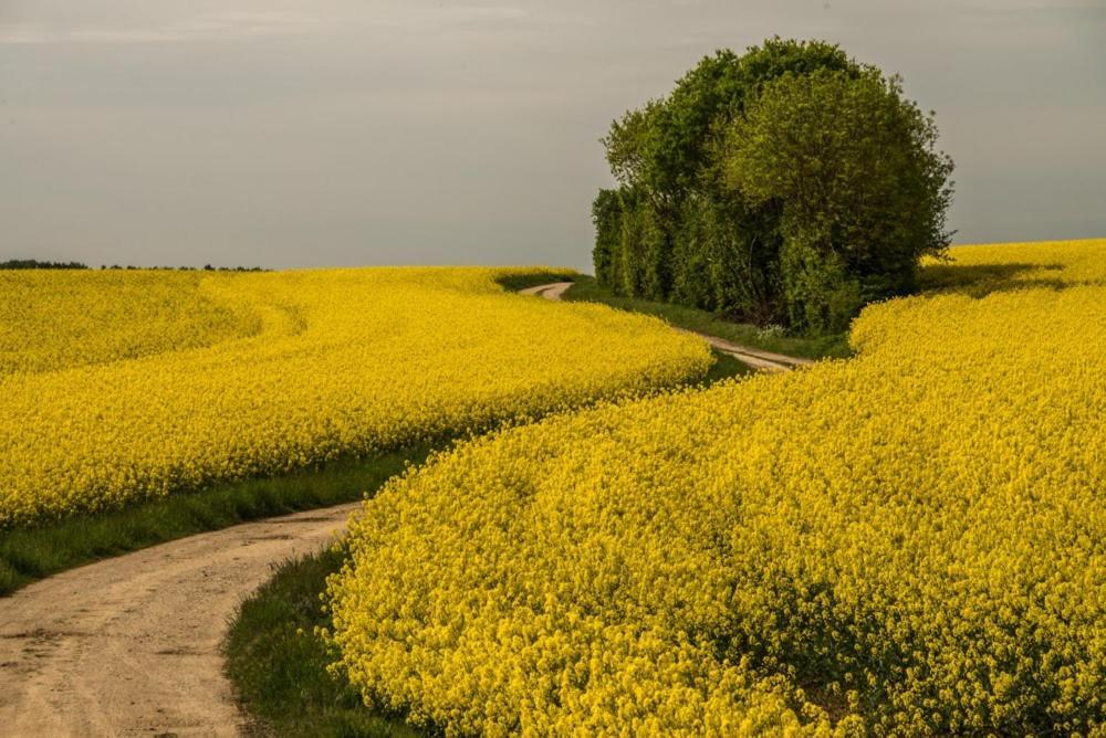 Eco Gite Argonne, Gite Insolite Lisle-en-Barrois Ngoại thất bức ảnh